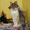 Отзыв от Вероника Черняева